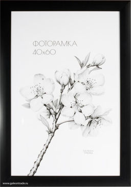 Фоторамка 40х60 /2900A-012C/,ф