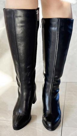 Сапоги Francesco Donni 1S7 853RC-C31-02