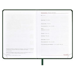Ежедневник датированный 2024 ESCALADA, А6+, 176 л., арт. 63791/ 20 САРИФ ЗЕЛЁНЫЙ фото 5