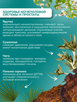 Драже из трав Для женщин с ягодой годжи, прополисом и дигидрокверцетином Алфит 6934  фото 24