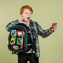 RAz-387-6 Рюкзак школьный