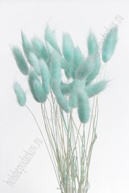 Сухоцветы "Лагурус" SF-4322, голубой