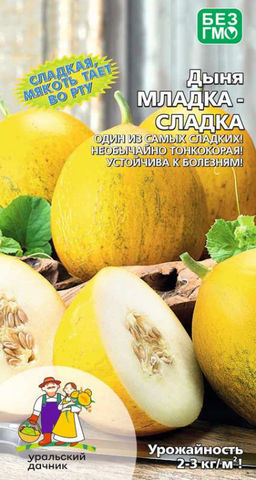 Дыня МЛАДКА-СЛАДКА  Сладкая мякоть тает во рту! Тонкокорая! Устойчива к болезням!