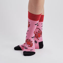 Камчатский краб клешню кидает - St. friday фото 5