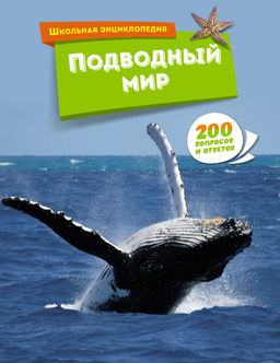 Подводный мир.