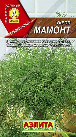 Укроп Мамонт