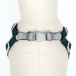Комплект Sport+, XS, поводок 120 x 1,5 см, ОШ 37-39 см, ОГ 41-46 см, вес животного 4-6 кг, зелёный - Пижон фото 5
