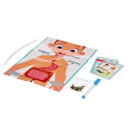 Набор для опытов Как я ем? - Эврики фото 3