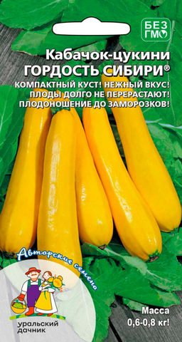 Кабачок ГОРДОСТЬ СИБИРИ  кустовой! Плоды долго не перерастают! Плодоношение до заморозков!