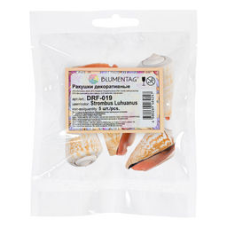 Blumentag / Zlatka DRF-019 Ракушки морские 5 шт. 5 см Strombus Luhuanus  фото 3