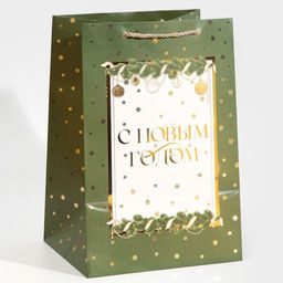 Пакет подарочный новогодний ламинированный «Яркие моменты», 23 х 35 х 20 см