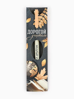 Цена за 2 шт. Ручка пластик в конверте Дорогой учитель, синяя паста 0.7 мм