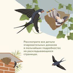 Что внутри? Как устроены дома животных. Банфи К., Перабони К. - Издательство махаон фото 3