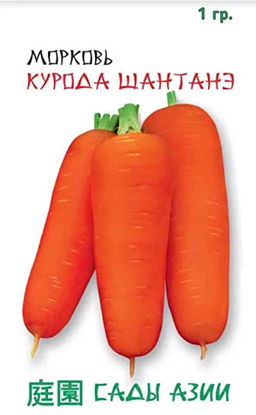 Морковь Курода Шантанэ 1 г Сады Азии