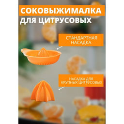 Соковыжималка для цитрусовых Martika «Мадена», 300 мл, пластик, МИКС