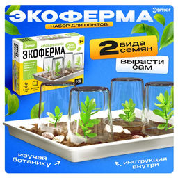 Набор для опытов «Экоферма», своими руками