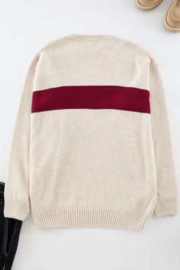 Bej Regular Bisiklet Yaka Renk Bloklu Triko Kazak TMNAW25KZ00014