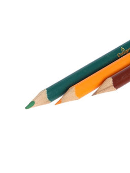 Карандаши Calligrata «Принцесса», цветные, 12 цветов деревянные, трёхгранные, мини