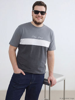 Bisiklet Yaka Renk Bloklu Penye Erkek Ti??rt