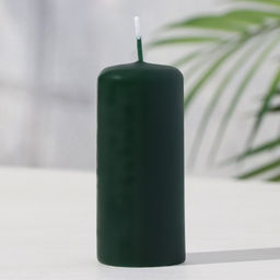 Цена за 2 шт. Свеча-цилиндр, 4×9 см, 11 ч, 90 г, т. зелёная