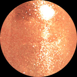 Alvin Dor Лак PRISMATIC т.2731 15мл