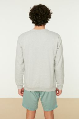 TRENDYOL MAN Gri Erkek Garfield Orijinal Lisansl? Regular/Normal Kesim Bisiklet Yaka Sweatshirt TMNAW21SW0569 - Trendyolmilla фото 10