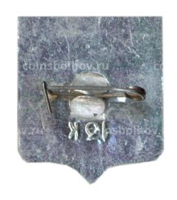 Значок Горький