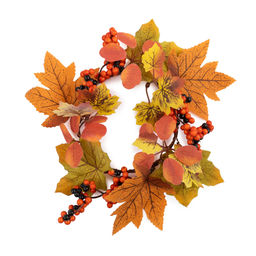 Blumentag WDM-09 Мини-венок осенний с ягодами 11.5 см 3 х 1 шт. 01