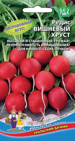 Редис ВИШНЁВЫЙ ХРУСТ  Высокий и стабильный урожай! Неприхотлив в возделывание! Для раннего сбора пучков!
