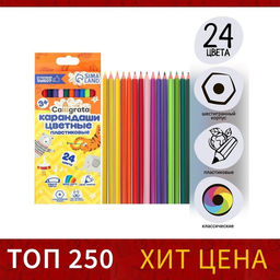 Карандаши Calligrata, цветные, 24 цвета, эконом, шестигранные, пластиковые