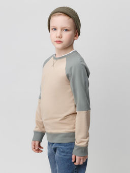 КР 302161-1/темно-бежевый джемпер (свитшот) для мал