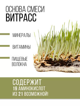 Витграсс + Ресвератрол порошок 150г (состав: ростки пшиницы (Wheat grass), жмых красного винограда ( - Sneko Gold фото 5