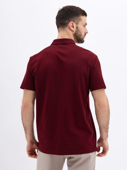 Джемпер мужской с воротником поло короткий рукав GREG G144-PO1246T-SAS2081(бордо)