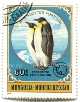 Марка Императорский пингвин 1980 год Монголия