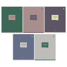 Тетрадь 48л. BG "Vibe" клетка (Т5ск48_лс 06835)