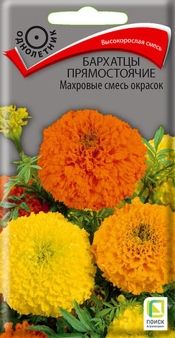 Бархатцы (Тагетес) прямостоячие Махровые смесь окрасок ( ЦВ) (1) 0,5гр. - Поиск фото 2