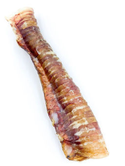 HorDog Говяжья трахея цельная 30 см 1 шт. п/э