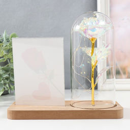 Фоторамка для фото 9×13 см настольная светящаяся «Голография. Роза в колбе», от батареек, 2×LR1130, 9.8×19.5×18 см