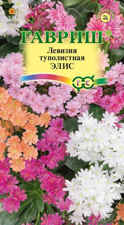 Левизия (Льюизия котиледон туполистная) Элис 5шт. (Гавриш)