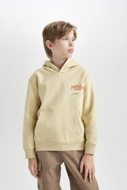 Бежевый плотный свитшот обычного кроя с капюшоном и принтом на спине для мальчиков - Defacto фото 3