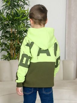 ТД025 Толстовка ZH (хаки)