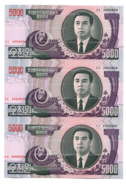 Банкнота 5000 вон 2006 года Северная Корея  Лист из трех банкнот