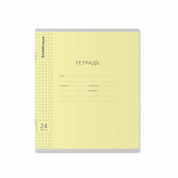 Цена за 160 шт. Тетрадь школьная ученическая ErichKrause Классика Visio ассорти, 24 листа, линейка (в плёнке по 10 шт.) фото 5