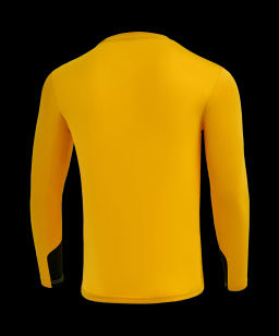 Свитер вратарский JOGEL DIVISION PerFormDRY GK Splash, желтый