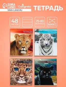 Цена за 10 шт. Тетрадь 48 листов в линейку, Calligrata Дикие кошки, МИКС