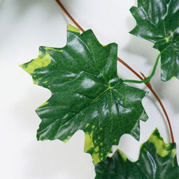 Цена за 5 шт. Лиана искусственная «Кленовые листики», 230 см