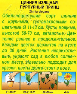 Цинния Пурпурный принц 0,3г (Аэлита)