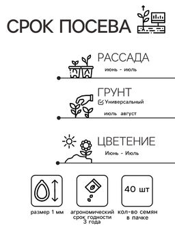 Цена за 2 шт. Семена цветов Анютины глазки "Флорист", Дв, 40 шт.