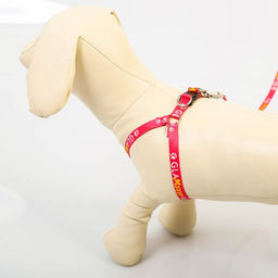 Комплект GlaМууур, шлейка 26-39 см, поводок 120х1 см - Пушистое счастье фото 5