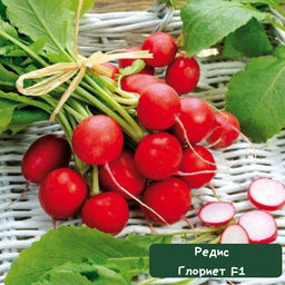 ce964be90e6882b710d020fa7ef8457f679h1sss5m2c73hcg